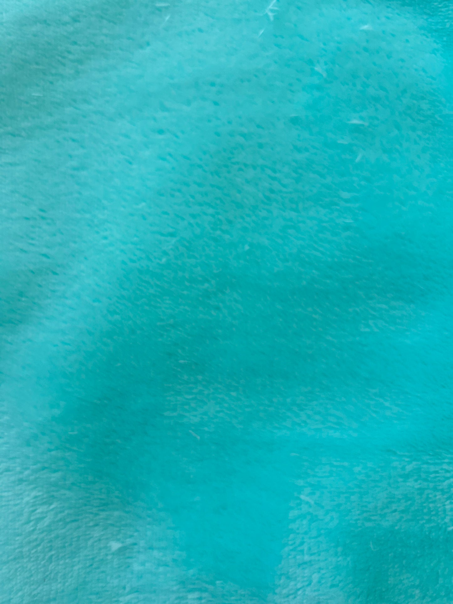 The Hoppy and Roo Collection